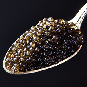 �ڸ���10���åȡ�<br>��������̣����ӥ� -�������ȥ�-