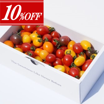 ��4�����10��OFF��<br>���ԥ��ȥޥȥ��쥯��