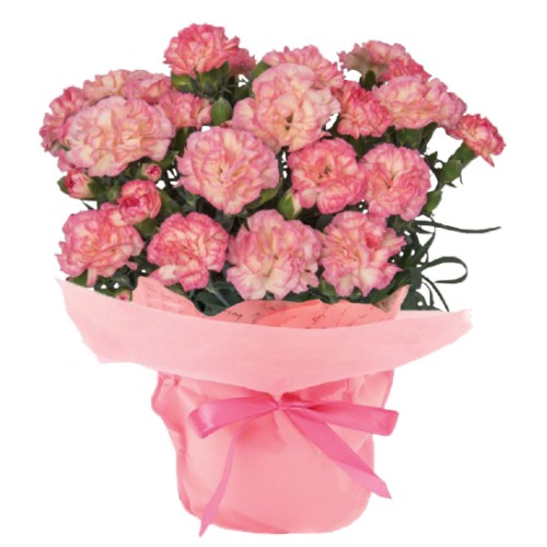 ��������եȢ㥫���͡�������