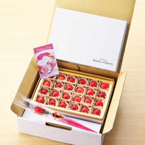 ������ѥ��եȡ�<br>����������ƣ��