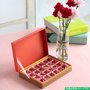 ��������ե�<br>�������� ��ƣ�Ӥ�<br>�����͡������ߥ˥֡���