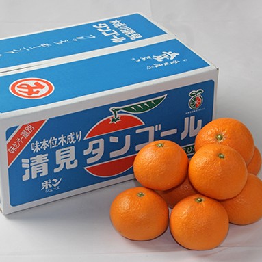 ���궦�� ��¢ �������󥴡���