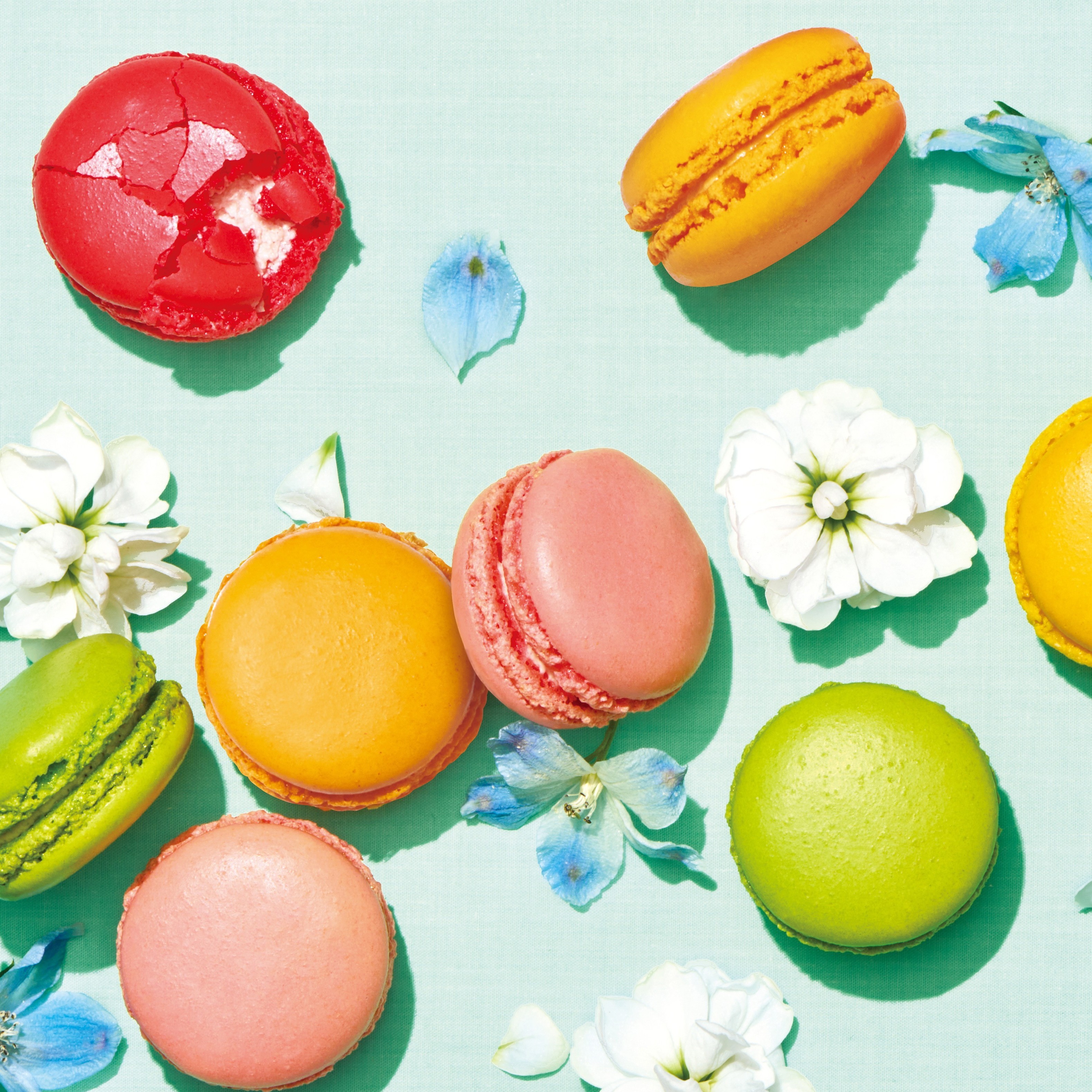 �����磻��<br>����Υޥ�����͹�碌