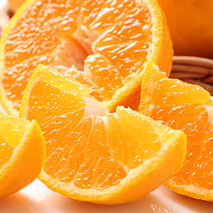 Ĺ�껺 ���β�