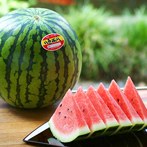 ���ճ��ϡ�<br>Ȭ��(�䤤��)����