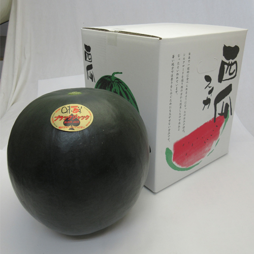 ���ܻ��դ����� �֥�å�����å�