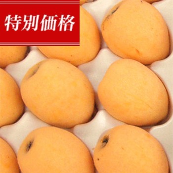 �ǽ��в�ʬ�����̲��ʤǡ�<br>Ĺ�껺���Ӥ� �Ź�ʤ��ޤ���