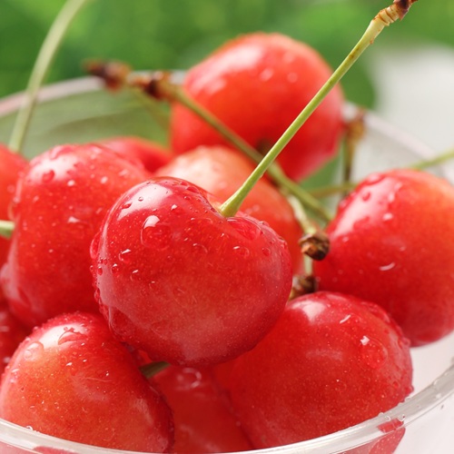 ��������<br>�������󥰥롼�פΡɺ�ƣ�ӡ�