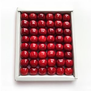 �ڸ���10���åȡۻ�������������<br>�ý� 2L�ʾ� 500g