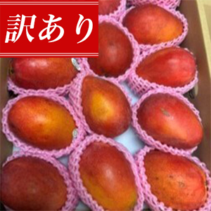 50���åȸ��ꡪ<br><br>������������ѻ� ���ϥ��åץ�ޥ󥴡�