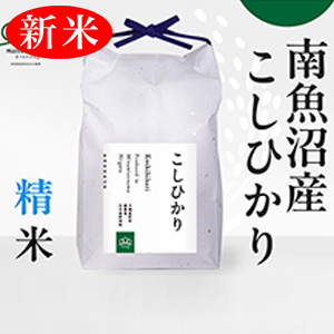 ����8ǯ��������ͽ�󳫻ϡ�<br>���㸩���ߤ�����<br>����»������ҥ���