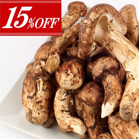 ��15��OFF�ۥ֡�������