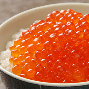 �����建<br>����������