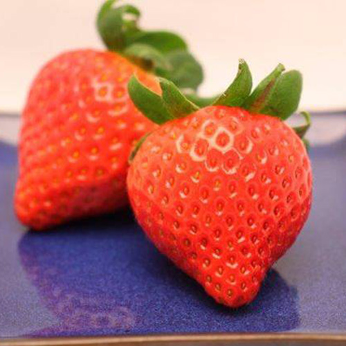 ��̸����ꥸ�ʥ뤤�����ʼ�㤢�ޤ���