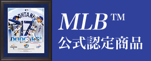 MLB¾¦ÉÊ