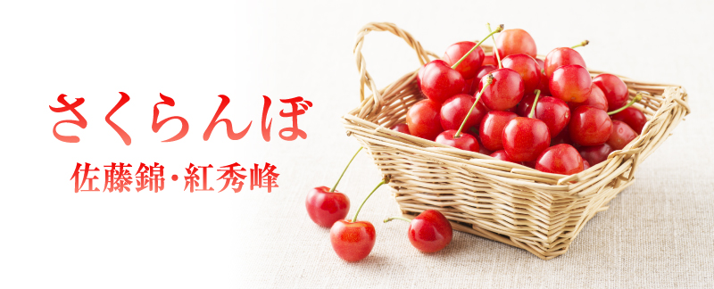 ¤µ¤¯¤é¤ó¤Ü